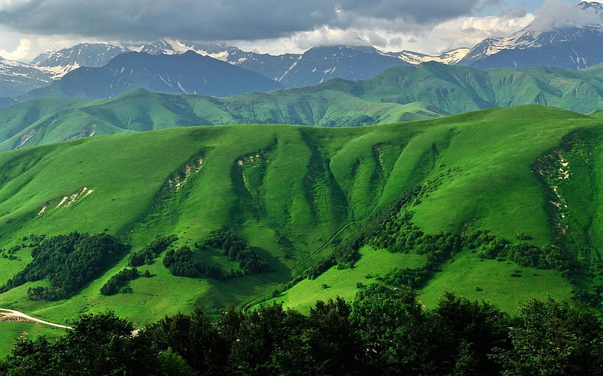 風景緑の山、バーモント山脈 高画質の壁紙