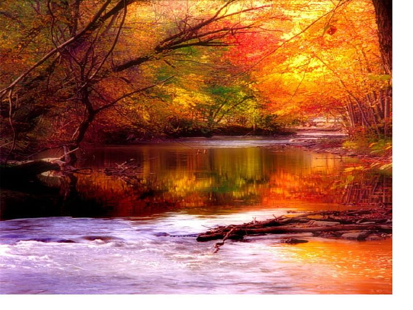 川の秋、川、流れる、泡、明るい太陽、金、オレンジ、岩、緑、赤、木、秋 高画質の壁紙