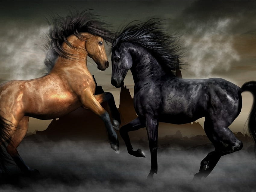caballos, nubes, cafe, negro HD wallpaper