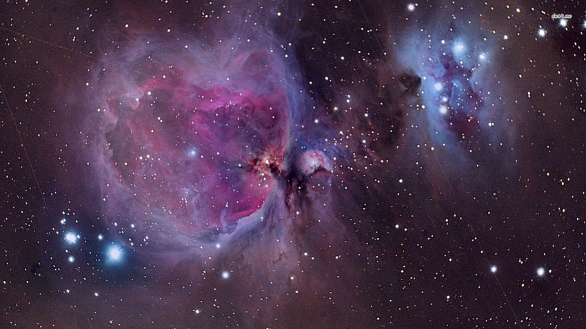 Sabuk Orion Nebula Ruang Angkasa Orion. Nebula Orion. Orion Wallpaper HD