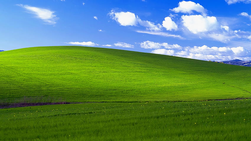 토파즈 기가픽셀 A.I로 향상된 Bliss Windows XP [] : R, Windows XP Grass HD 월페이퍼