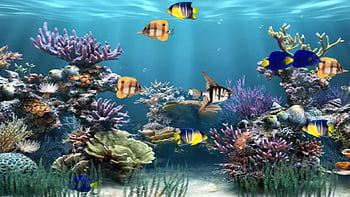 Jextou Bonsai Tree For Aquarium Tank, Realistic Pine, Aquarium Fish Tank  Accessories Underwater Plants With Ceramic Base For Fish, Shrimp, Newt :  Amazon.co.uk: Pet Supplies