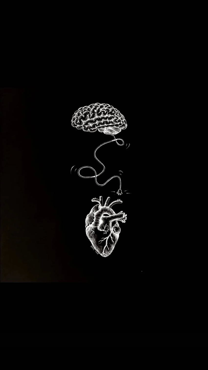 หัวใจเทียบกับจิตใจ หัวใจ vs จิตใจ หัวใจ vs สมอง หัวใจ วอลล์เปเปอร์โทรศัพท์ HD