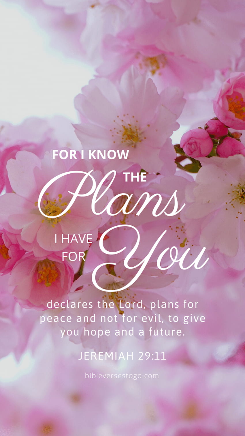 Pink Bloom Jer 29:11 - Bible Verses To Go, Bloom Where You Are Planted HD  phone wallpaper | Pxfuel