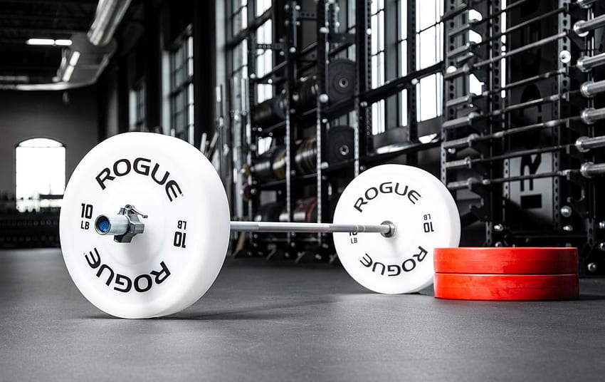Rogue Technique Plates Have The Same Outside Diameter As Standard Full Size Olympic Bumper Plates, But In A Much Lighter, More M. Olympic Weights, Garage Gym, Gym, Rogue Fitness HD wallpaper