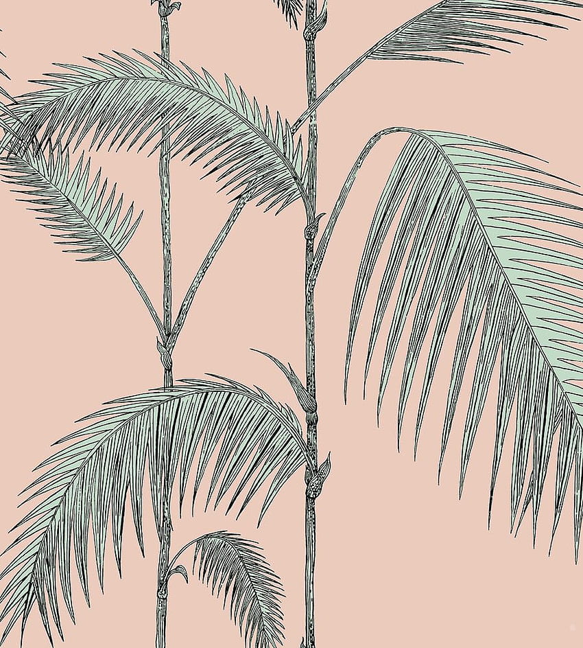 Cole & Son - Folhas de Palmeira, Folha de Palmeira Rosa Papel de parede de celular HD