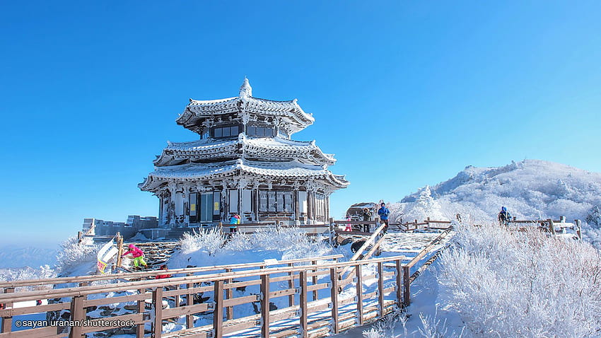 Información de Corea del Sur - Guía de información local y de viajes, Korea Snow fondo de pantalla