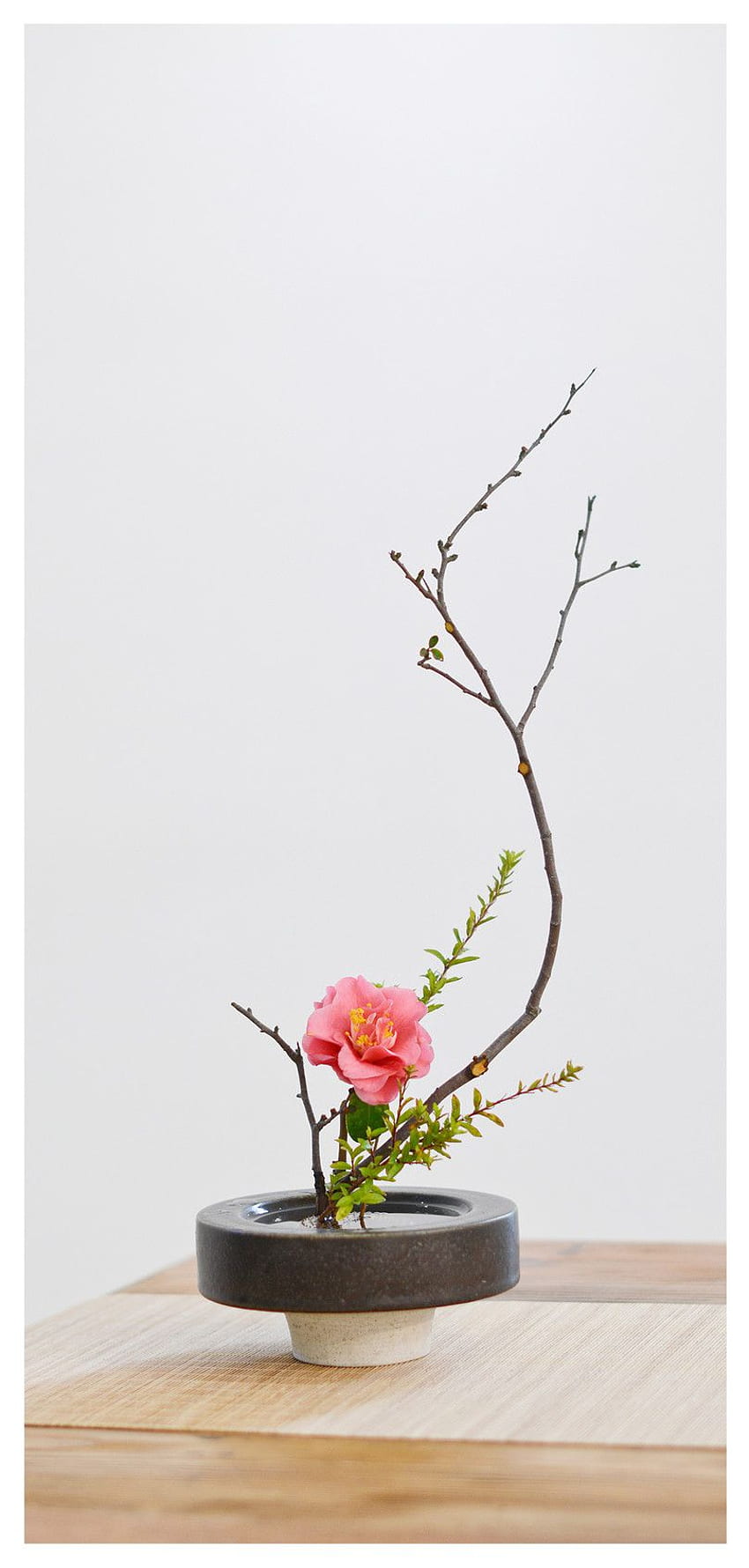 dla tła telefonu komórkowego z japońską kompozycją kwiatową, Ikebana Tapeta na telefon HD