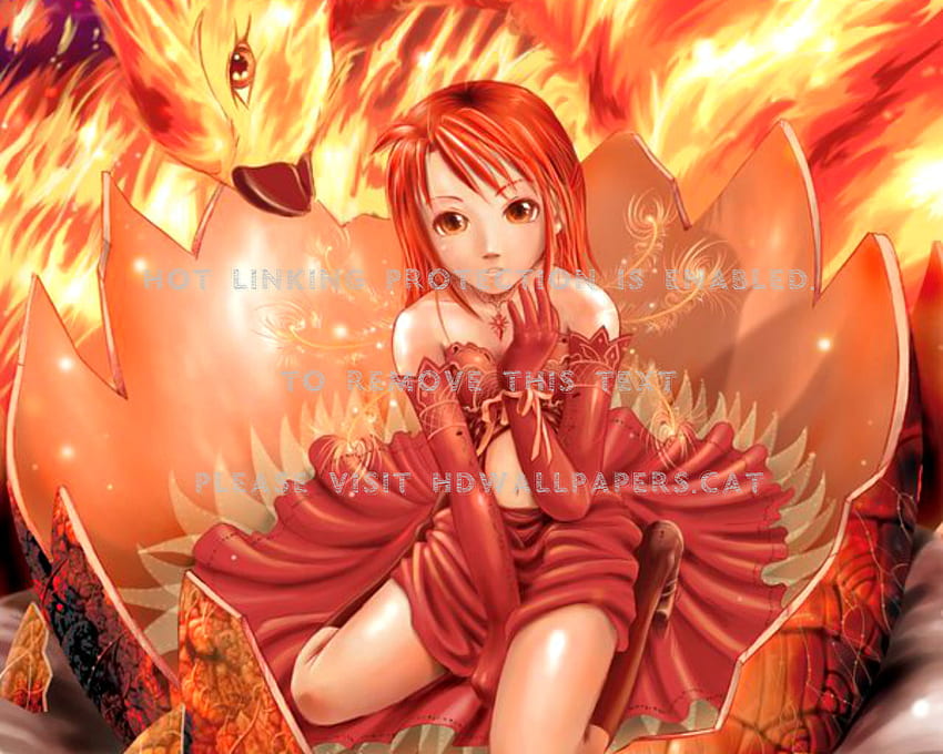 cute anime phoenix gute girl, Anime Phoenix Girl HD wallpaper