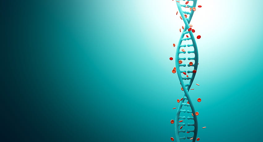 Sinh học (Biology): Sinh học là môn học thú vị, giúp chúng ta hiểu rõ hơn về sự sống và con người. Trong ảnh liên quan, bạn sẽ được khám phá thế giới tuyệt vời của Sinh học, tìm hiểu về các loài động thực vật và những nguyên lý cơ bản của cuộc sống.