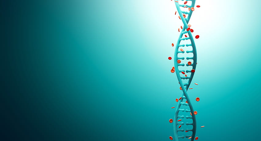 Latar Belakang Rekayasa Genetika. Repo Opera Genetika , Rekayasa Genetika dan Genetika Wallpaper HD