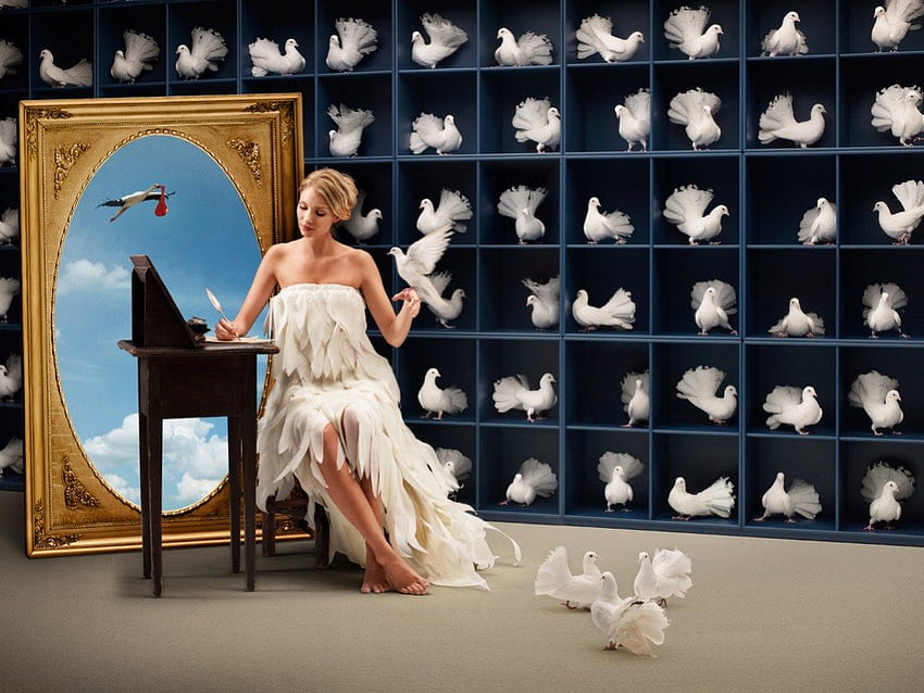 Situations/Girl with Doves/, shelving, birds, girl, doves, painting, storks, clouds, inventory, wrote, census HD wallpaper