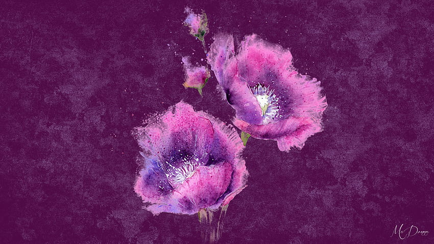 Purple Painted Poppies, изкуство, рисувани, букети, цветя, пролет, тема за Firefox, макове, лилаво, лято, розово HD тапет