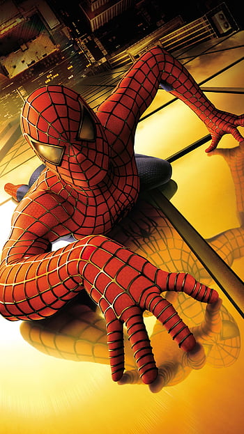 Spider Man 2002 Wallpapers  Top Free Spider Man 2002 Backgrounds   WallpaperAccess