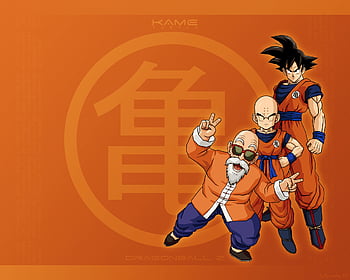 Dragon Ball Classic Goku and Krilin Vinyl Wallpaper Official Product  Various Sizes Photo Wallpaper for Walls Original Product Home Decoration  DBC 500 x 300 cm : : DIY & Tools