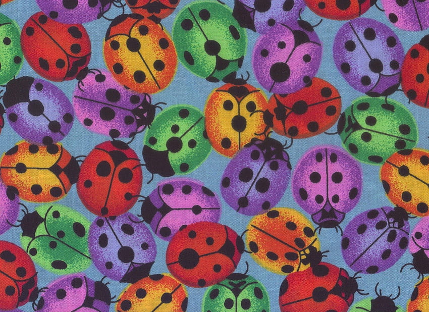 RAINBOW LADY BUGS, purple ladybugs, green, re, yellow HD wallpaper