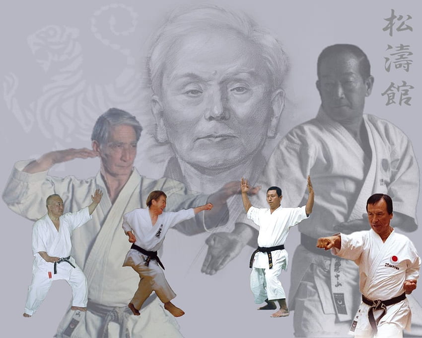 Shotokan Masters. . Shotokan, Karate, Shotokan karate, Okinawa Karate HD wallpaper
