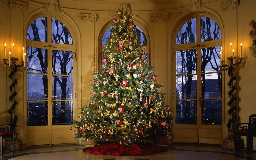 Oh albero di Natale, inverno, finestre, Natale, candele, albero decorato Sfondo HD