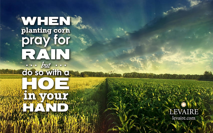 Lorsque vous plantez du maïs, priez pour qu'il pleuve, mais faites-le avec une houe à la main Fond d'écran HD