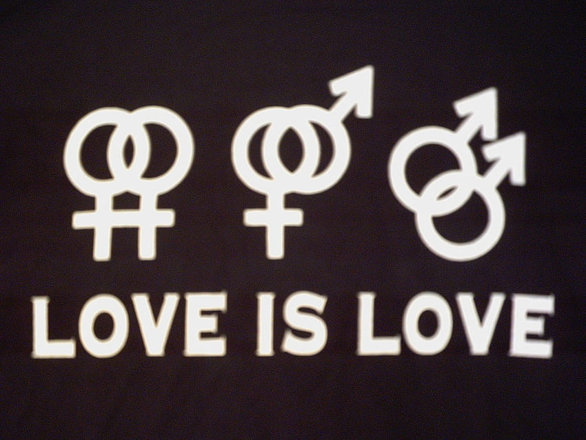 Gay Equality . Gay Unicorn, Love Is Love LGBT HD wallpaper