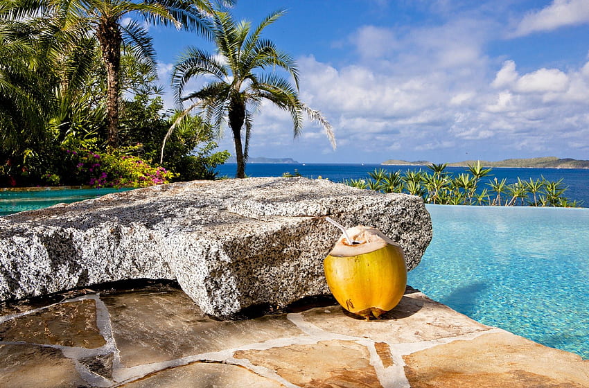 Paradise Pool, schwimmen, insel, meer, hawaii, paradies, kokosnuss, strand, pool, inseln, trinken, ozean, polynesien HD-Hintergrundbild