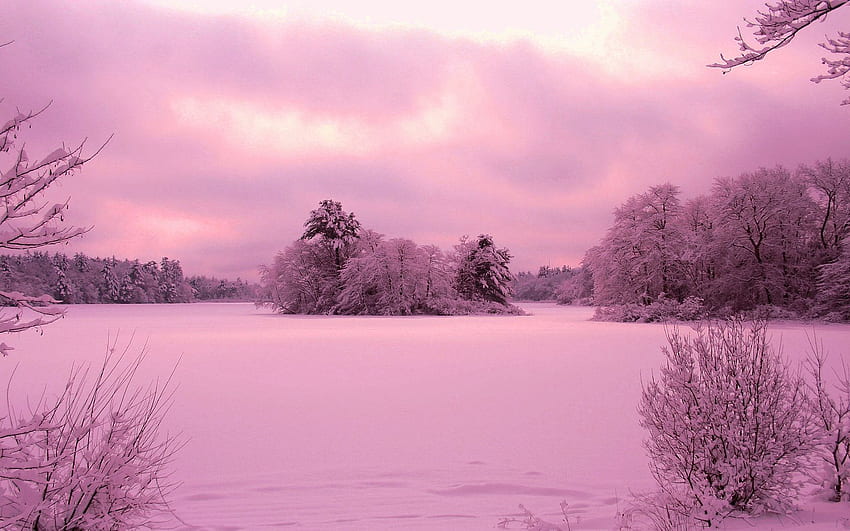 Purple Sunset over Winter Landscape and Background, Pink Snow HD wallpaper