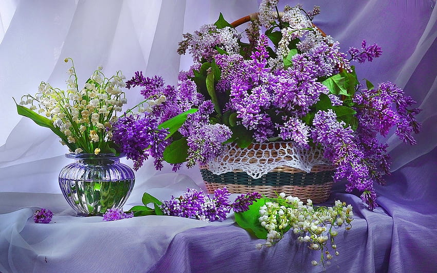 Still Life, Flower, Vase, pretty HD wallpaper