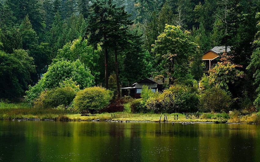 Nature, Lake, Shore, Bank, Forest, Small House, Lodge HD wallpaper