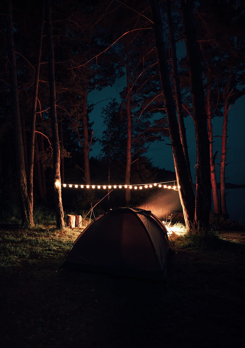Night, , , Garland, Coziness, Comfort, Camping, Campsite, Hike, Campaign HD phone wallpaper