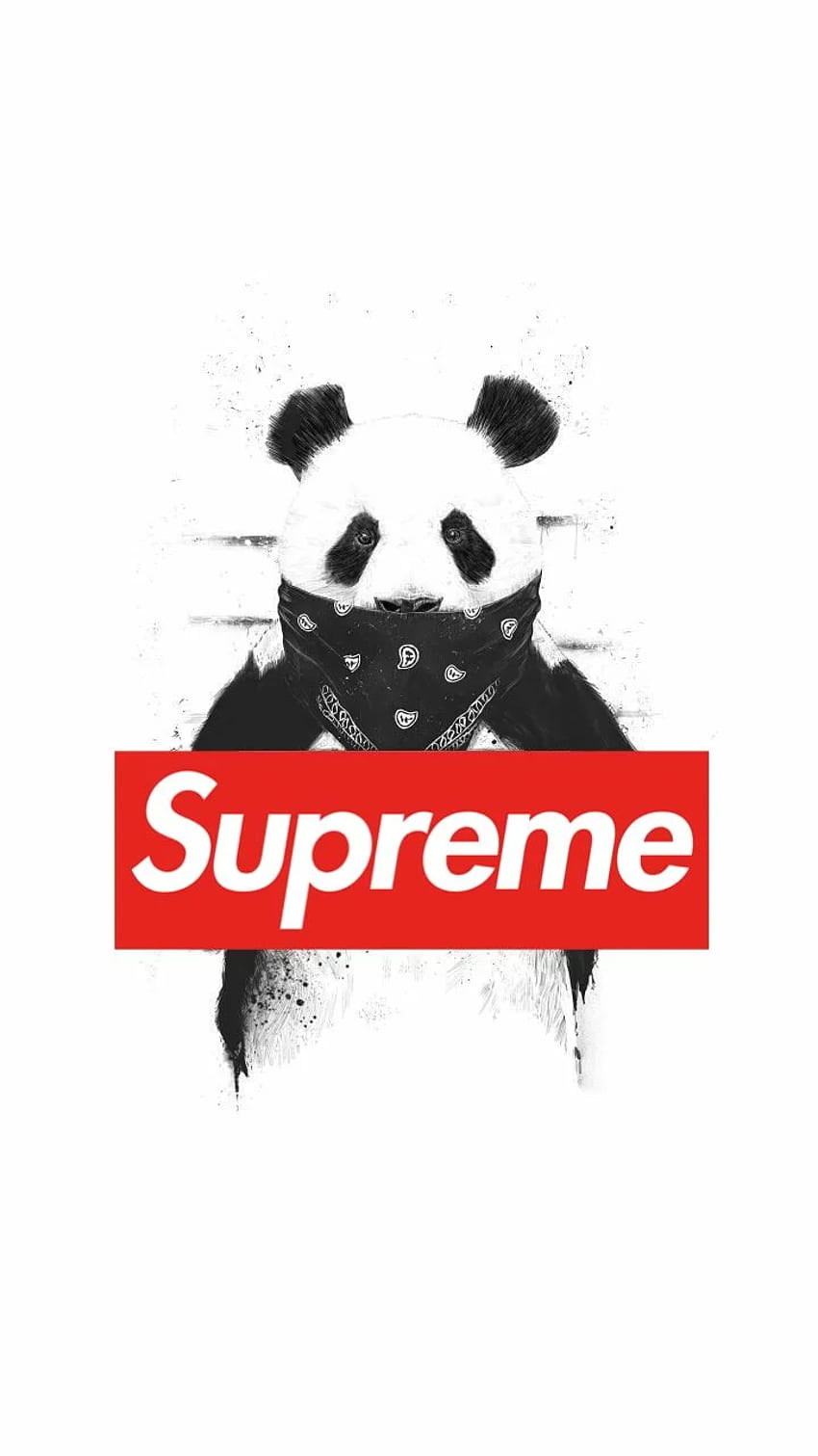 Panda x Supreme. HYPE. Supreme, Panda and HD phone wallpaper | Pxfuel