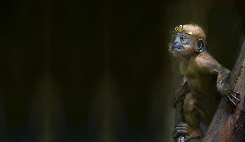 เจ้าชายน้อย สัตว์ ดำ ลิง แฟนตาซี ศิลปะ เจ้าชาย จุนหลิง วอลล์เปเปอร์ HD