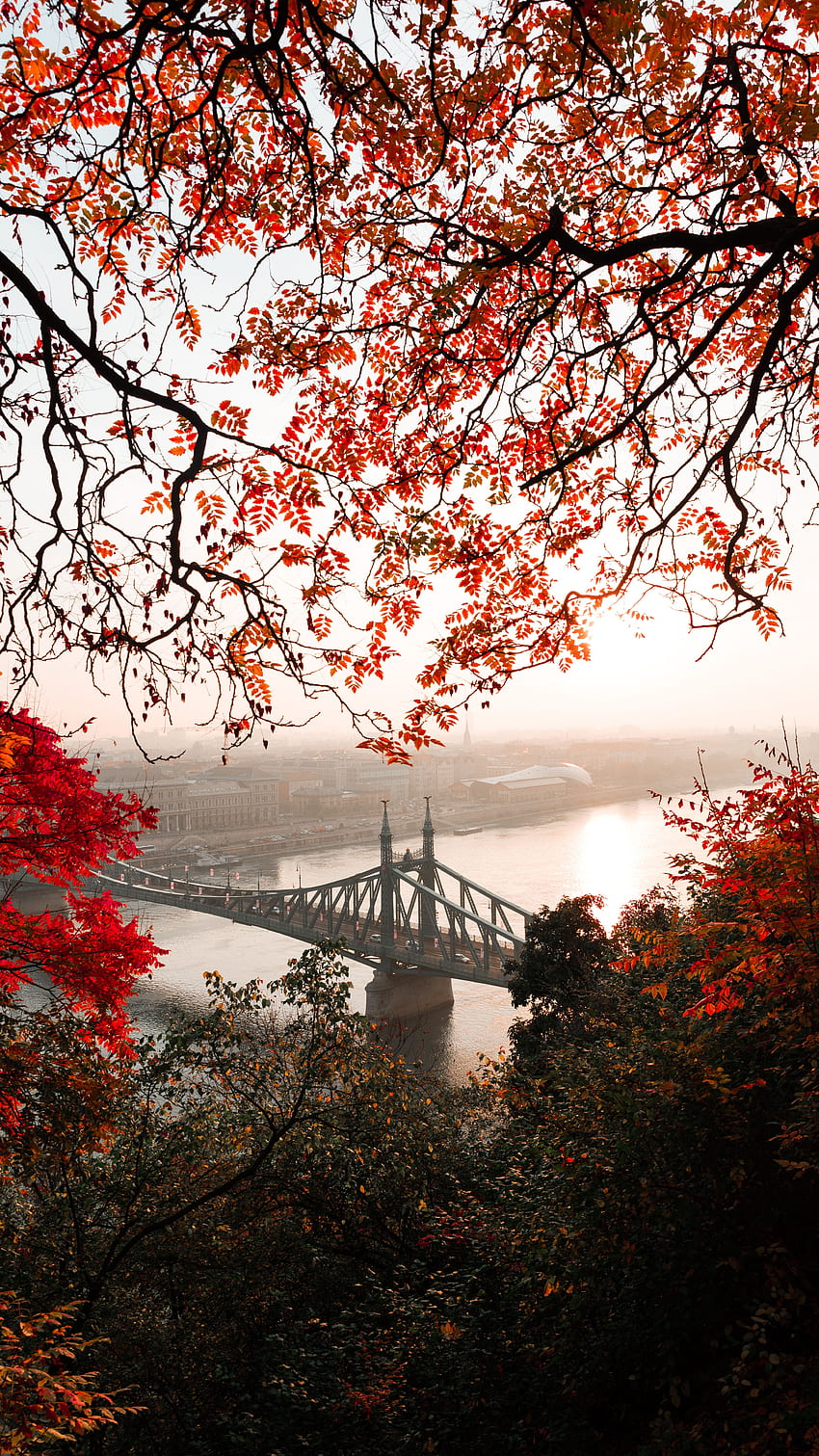 Kota, Musim Gugur, Kota, Jembatan, Hongaria, Budapest, Benteng wallpaper ponsel HD