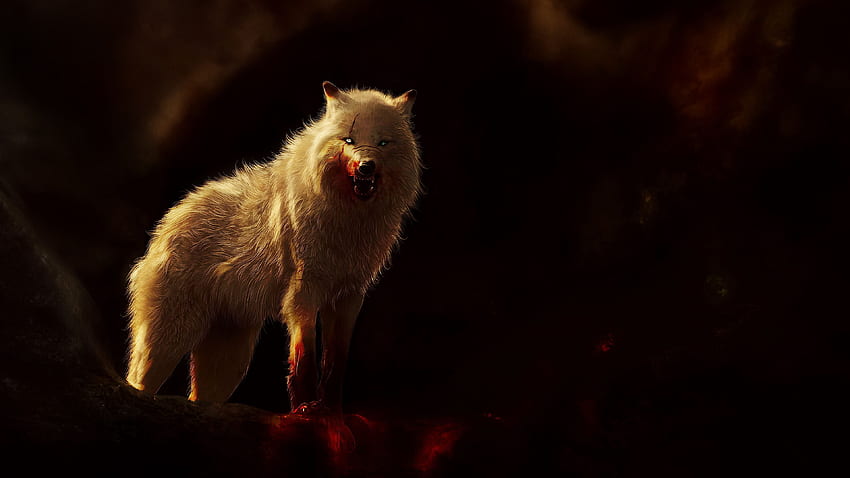 wolf Blood animal Painting Art, Wolfblood HD wallpaper