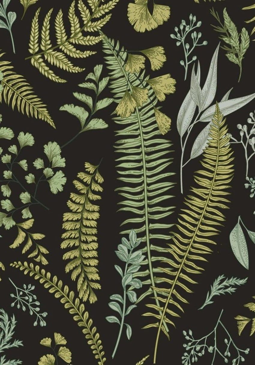 Botanical Green Leaves . Etsy in 2020. Botanical , Fern , Leaf, Ferns HD phone wallpaper