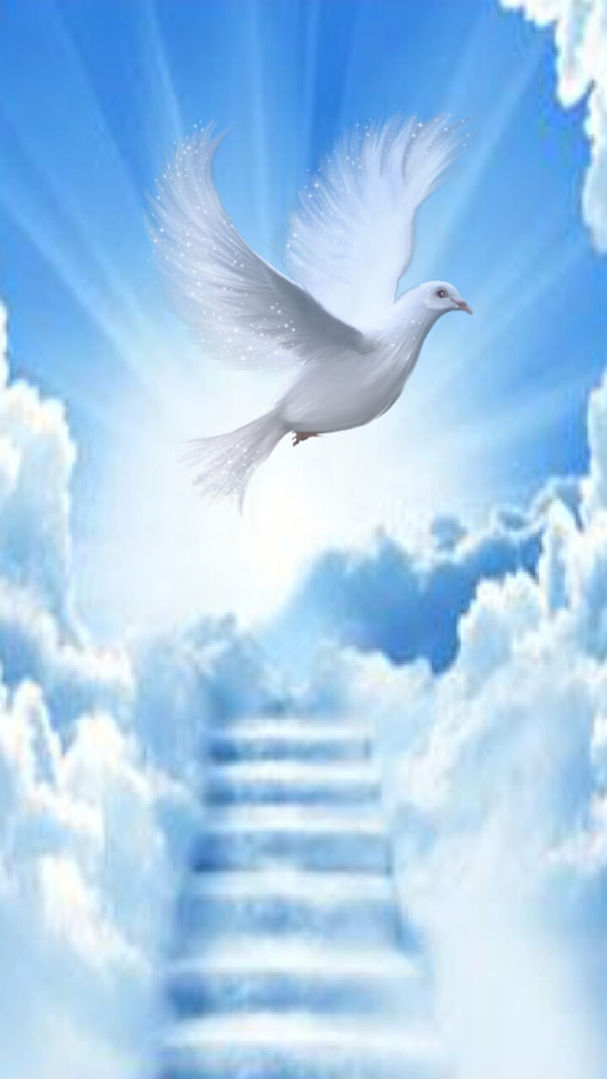 Going Up, cloud, dove, peace, stairway, Stair, heaven HD phone wallpaper
