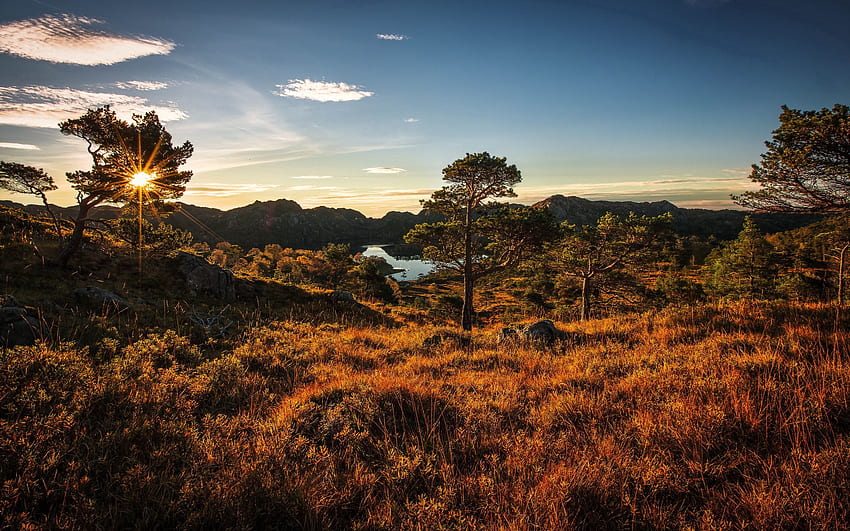 naturaleza, árboles, hierba, cielo, Noruega fondo de pantalla