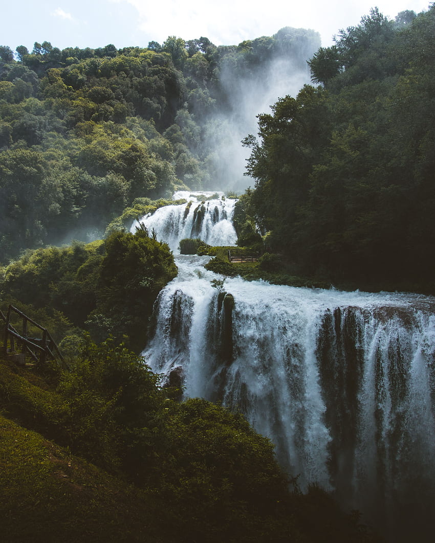 Landscape, Nature, Trees, Waterfall, Forest, Wildlife HD phone wallpaper