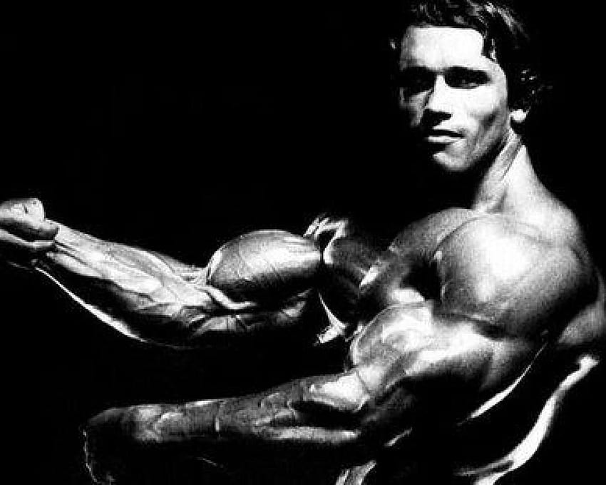 Arnold, Old School Bodybuilding HD wallpaper