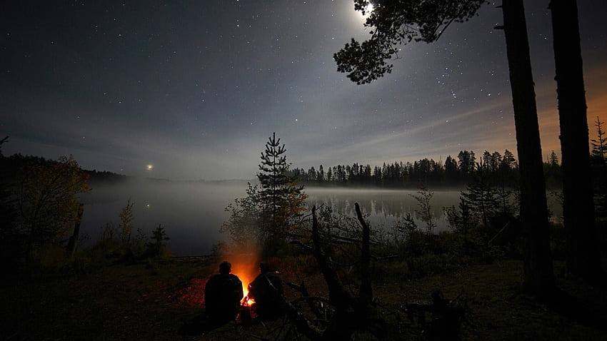 Firelight Under The Starry Night - 별이 빛나는 밤, 별이 빛나는 숲 HD 월페이퍼