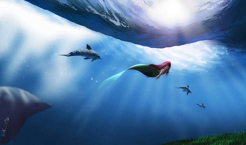 Ariel Nadando con Delfines, Sirena y Delfín fondo de pantalla