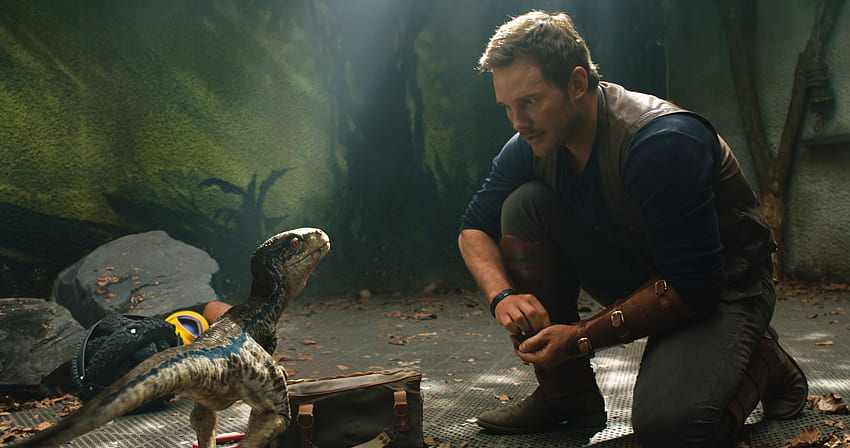 Chris Pratt And Little Raptor Jurassic World iPhone 6 plus , Film , , dan Latar Belakang, Blue Jurassic World Wallpaper HD
