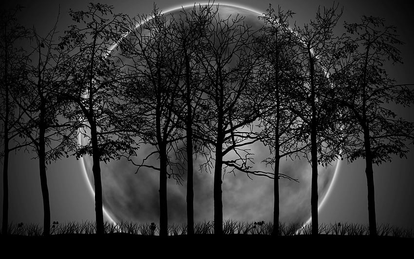 月と黒と森の暗い森 高画質の壁紙