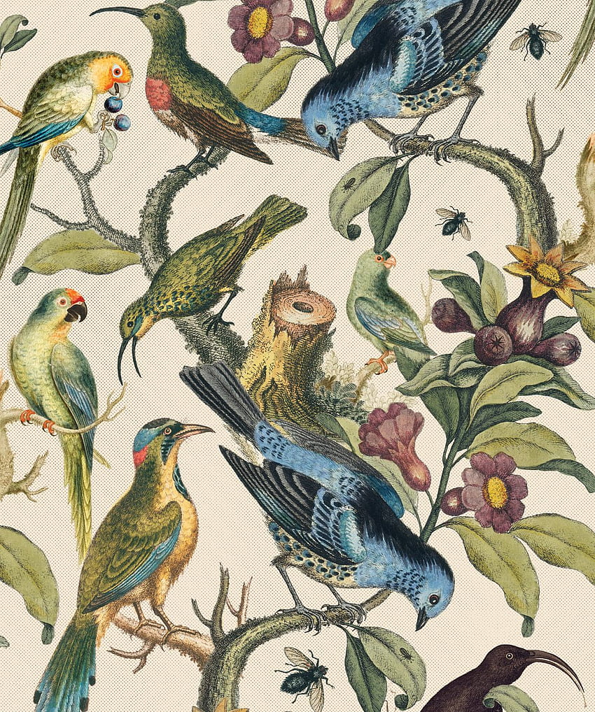 Ornithologie • Stilvolles Vogel- und Zweigdesign • Milton & King, Sommervögel HD-Handy-Hintergrundbild