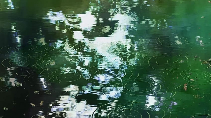 Água Makoto Shinkai ondula o anime The Garden of Words papel de parede HD