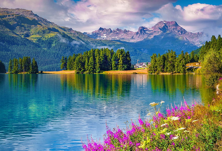 Tranquility, hills, beautiful, serenity, mountain, lake, summer, wildflowers, reflection, view, forest HD wallpaper