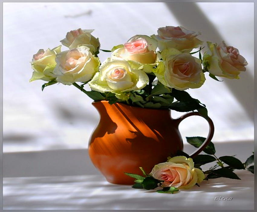 Kleine braune Kanne, Schatten, Rosen, rosa und weiß, grün, braune Kanne HD-Hintergrundbild
