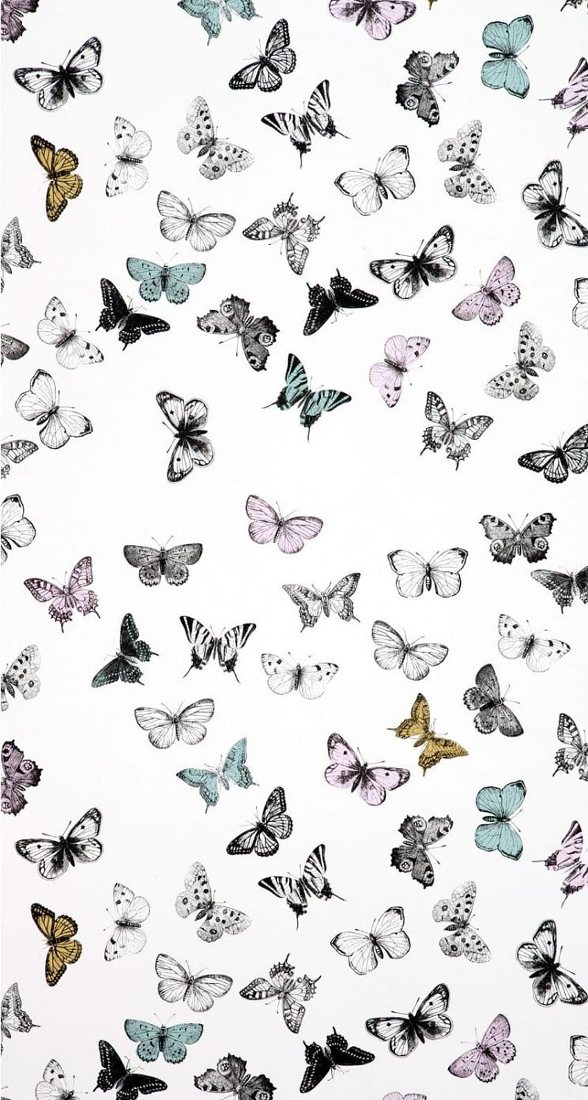 Butterflies Pattern. IPhone 6 6 Plus . Tap To See More Similar IPhone Wallpap. Butterfly Iphone, Butterfly , IPhone Vintage, Cute Butterflies HD phone wallpaper