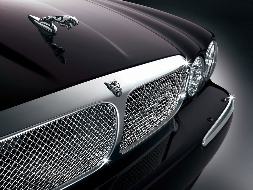 Samochód Jaguara. Logo samochodu Jaguar, Jaguar xj Tapeta HD