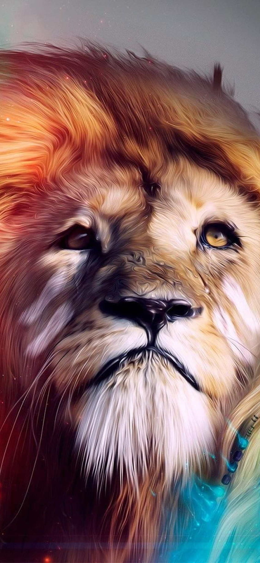 Lion wallpapers for iPhone and iPad