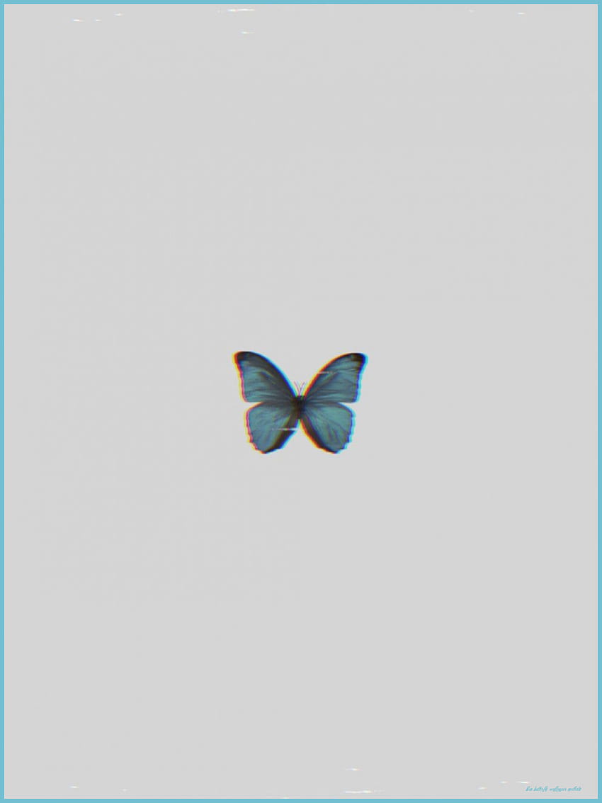 次の 10 秒で青い蝶の美学についての真実を学びます。 Blue Butterfly 美的でかわいい赤ちゃん蝶 HD電話の壁紙